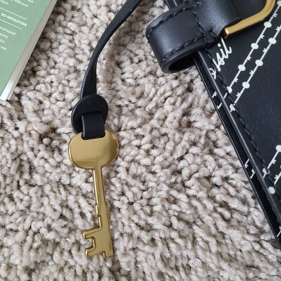 Organic Cactus Fossil Kier - Picture 3 of 16